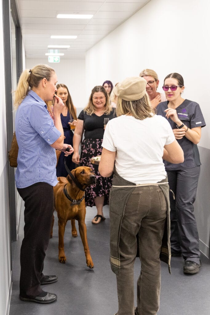 event coverage photography sunshine coast