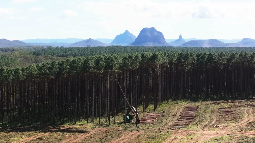 videography and photography sunshine coast
