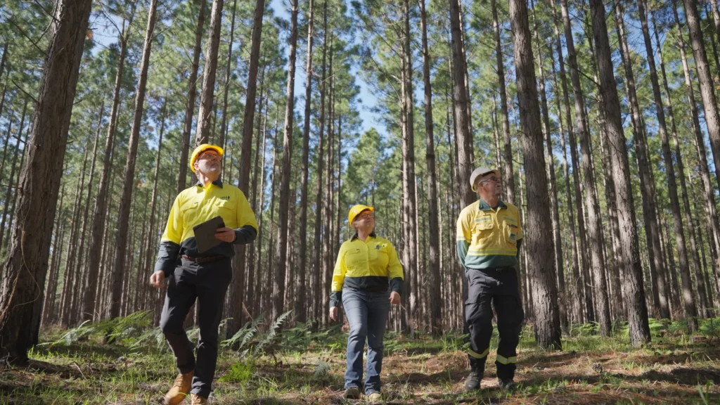 videography and photography sunshine coast