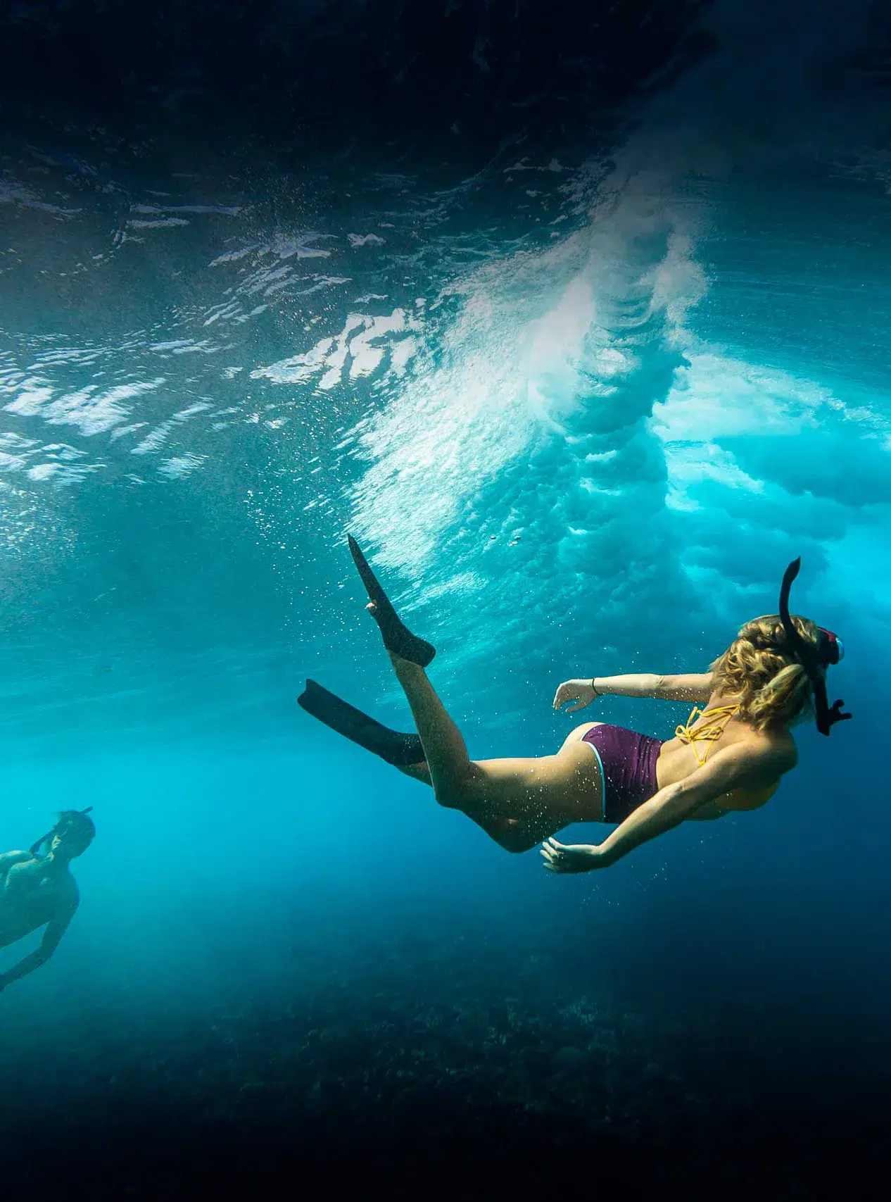 videography and photography sunshine coast Swimming Underwater